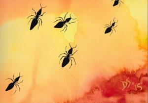 Artwork 2 Love Desert Ants