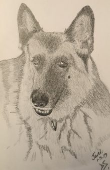 Pawtraits Jewel Pawtraits Jewel